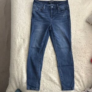 Liverpool Petite Ankle Skinny Jeans